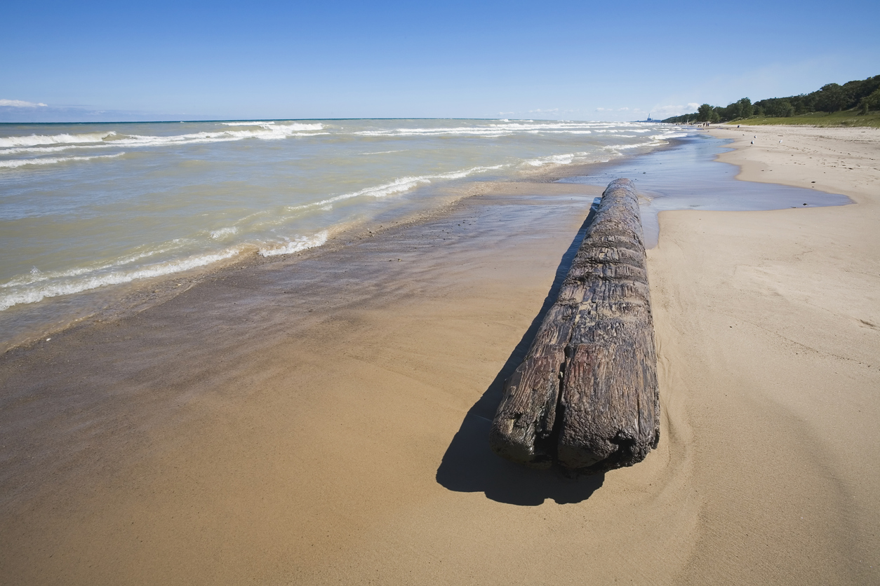 Indiana Lakeshore with Log
